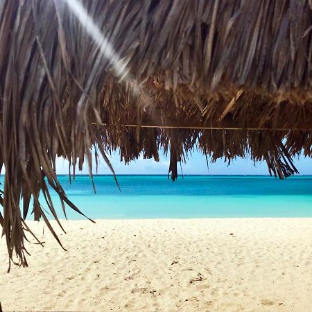 نورد The Palm Leaf Apartments المظهر الخارجي الصورة